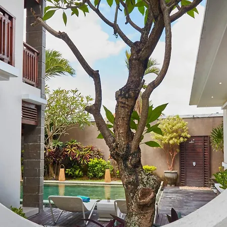 Dreamscape Bali Villas Canggu Exterior foto