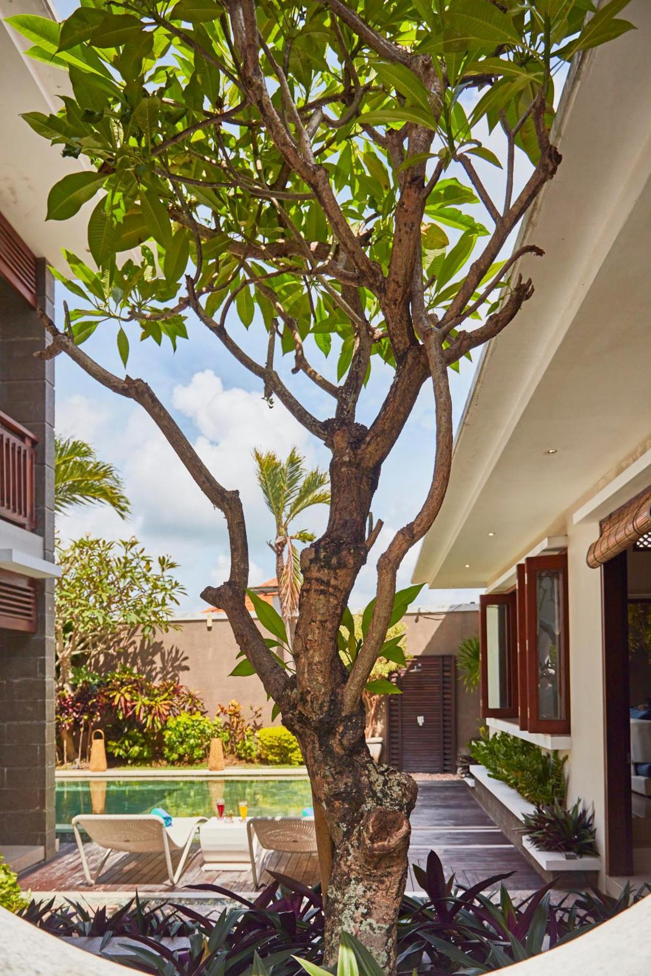 Villa Dreamscape Bali *